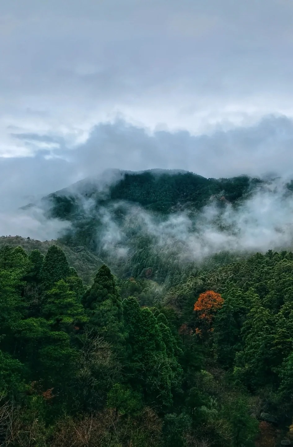 不识庐山真面目，只缘身在此雾中_5_Rainee想戒拖延症_庐山-来自52tours 我爱旅游网